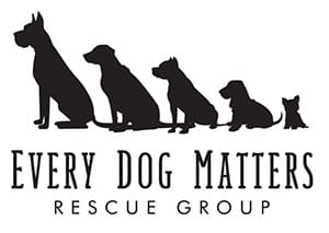 Community Support Logo